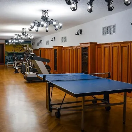 Vila Bled Hotel 4*